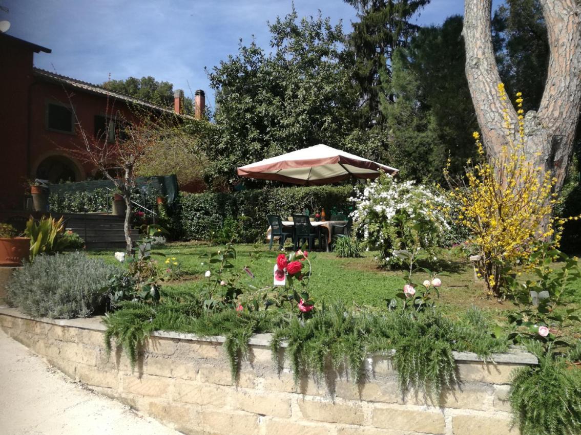 Vigna Dell'Agrifoglio - Bed And Breakfast Velletri Exterior photo