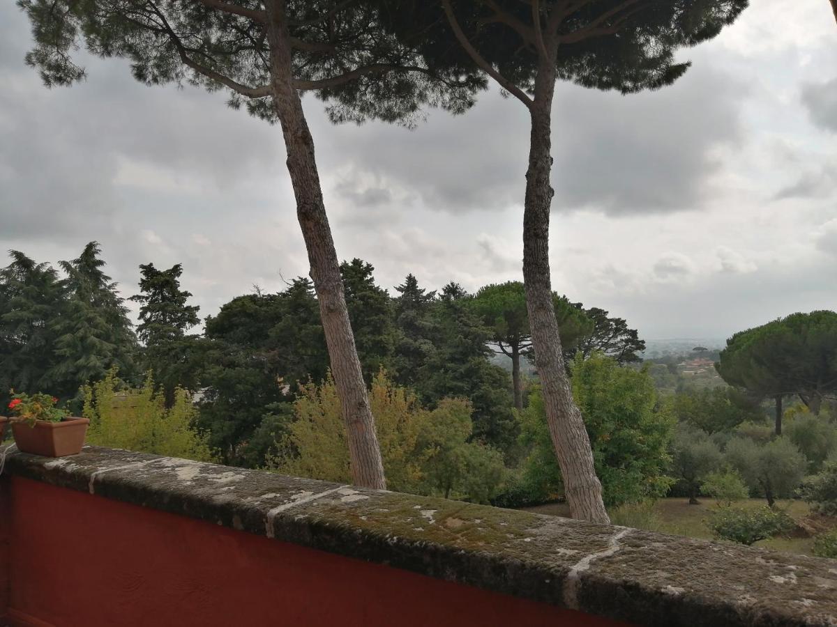 Vigna Dell'Agrifoglio - Bed And Breakfast Velletri Exterior photo